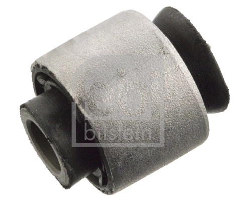 Mounting, control/trailing arm